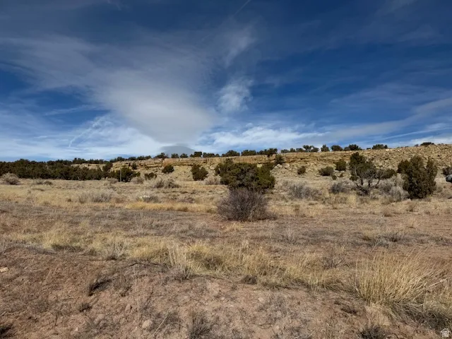 Expansive open land featuring sparse vegetation and a clear blue sky