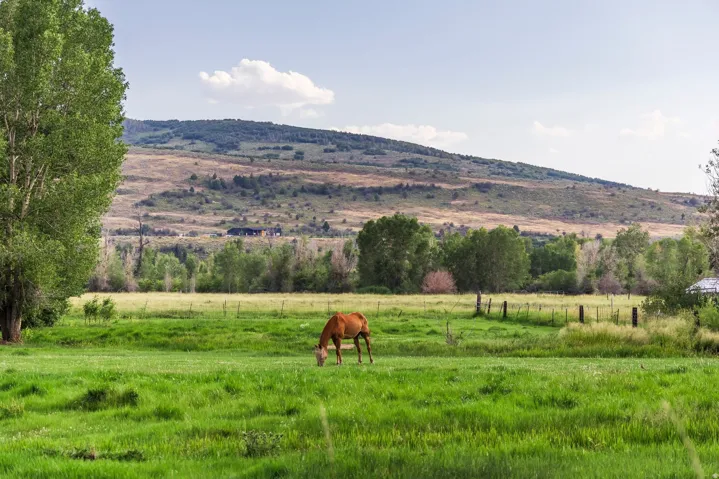 1264 High Country Ln #72, Francis, Utah 84036