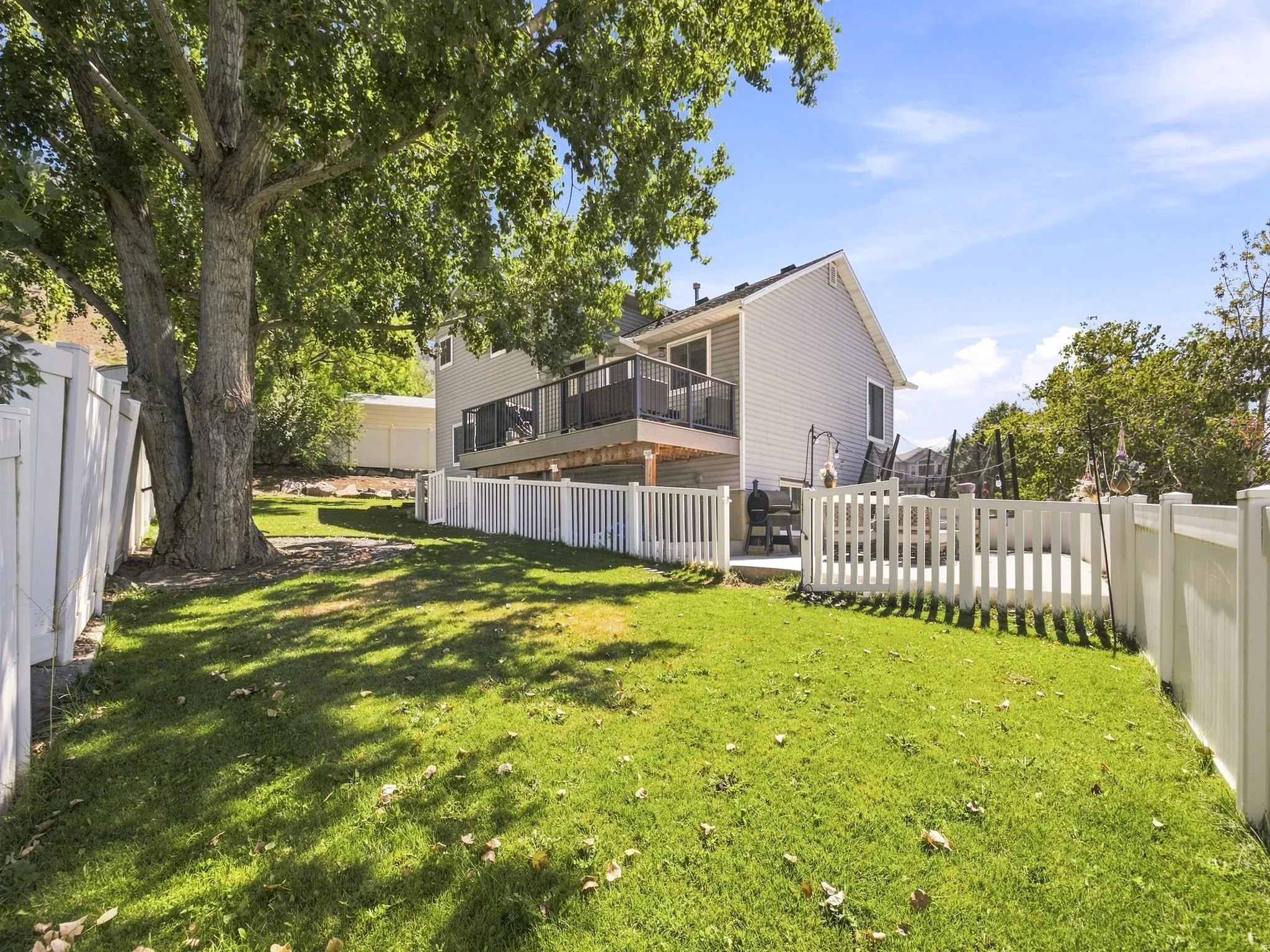 Expansive green lawn with a mature tree