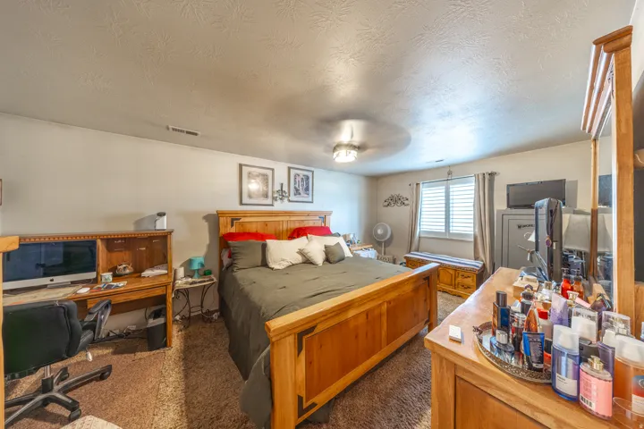 Spacious primary bedroom offering generous room for a full bedroom suite, featuring plush carpeting, a ceiling fan, and a large window with classic white plantation shutters that provides abundant natural light. The primary suite also includes a private e