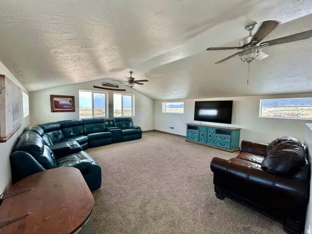 Spacious room featuring vaulted ceilings, multiple windows, two ceiling fans, and neutral-toned carpeting