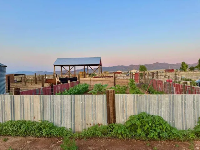 Corrugated metal fence with wood posts