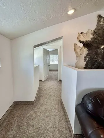Recessed ceiling lighting, textured ceiling, light-toned carpeting, white interior doors, and white trim