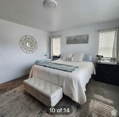 Bright secondary bedroom with abundant natural light from dual windows featuring plantation shutters