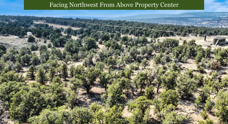Expansive undeveloped land with abundant natural foliage and distant elevated terrain