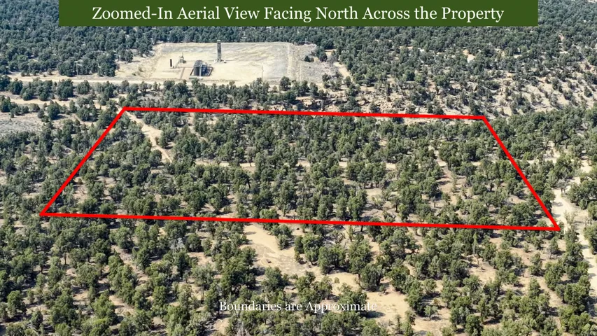 Expansive land parcel featuring dense tree coverage