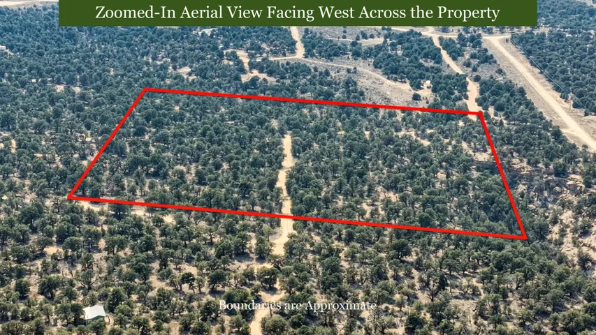 Property featuring extensive tree coverage