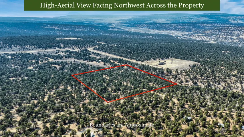 Expansive acreage featuring abundant mature trees and distant mountain ranges