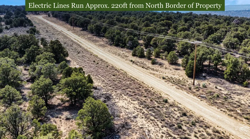 Expansive land featuring a dirt road, scattered trees, and power lines