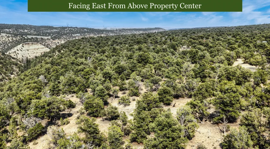 Expansive property featuring abundant mature trees and rolling terrain, with distant hills and a clear sky providing a natural backdrop