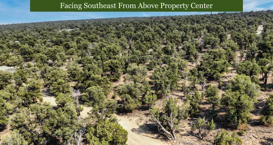 Expansive natural landscape featuring abundant mature trees and varied terrain