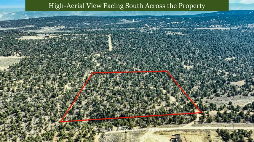Expansive land parcel featuring dense evergreen tree coverage and varied topography