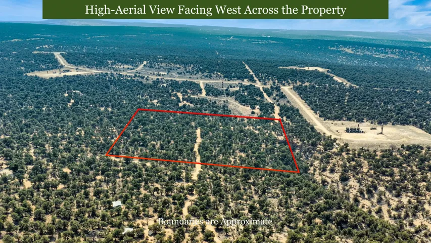 Expansive parcel featuring a dense tree canopy and visible property boundaries