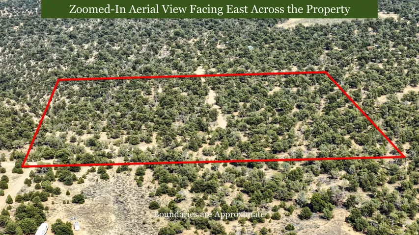 Expansive land parcel with natural vegetation