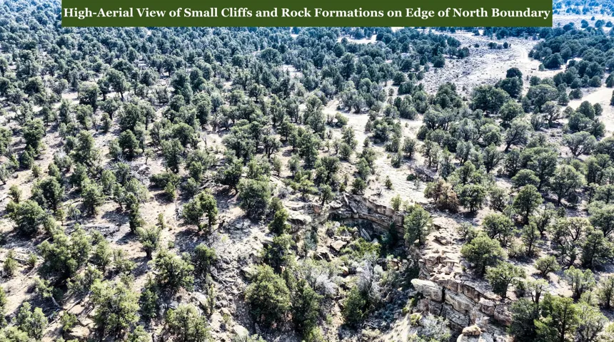 Expansive terrain featuring numerous trees