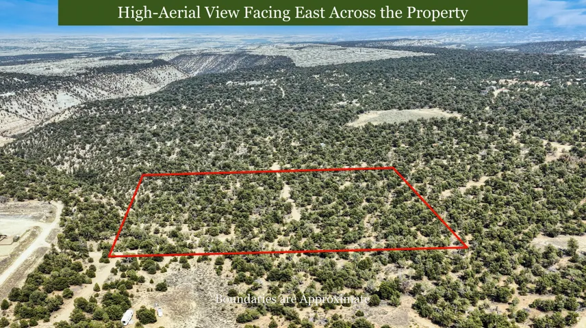 Expansive land parcel featuring natural terrain and abundant tree coverage