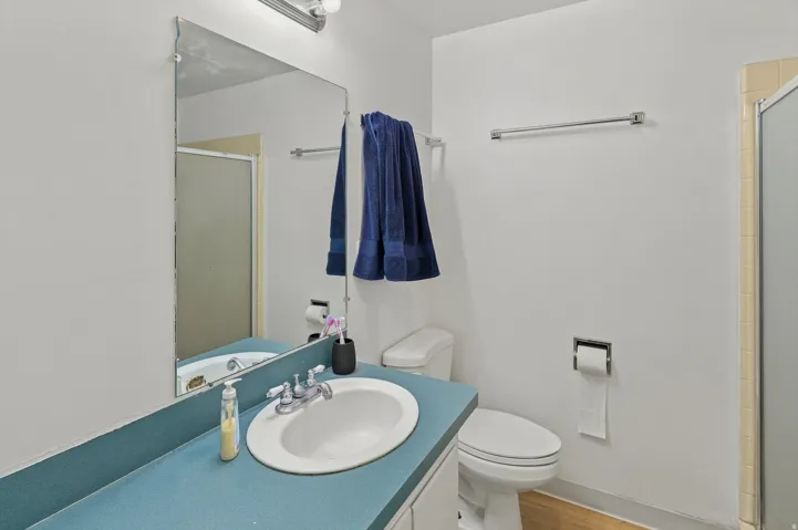 Bathroom featuring a built-in vanity with an integrated sink, wall-mounted mirror, and a shower enclosure with frosted glass