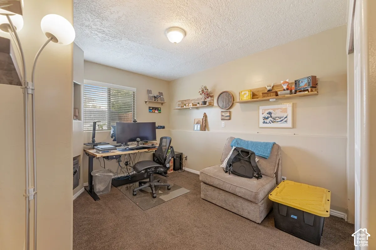 Recessed window with blinds, built-in wall shelving, textured ceiling, and carpet flooring