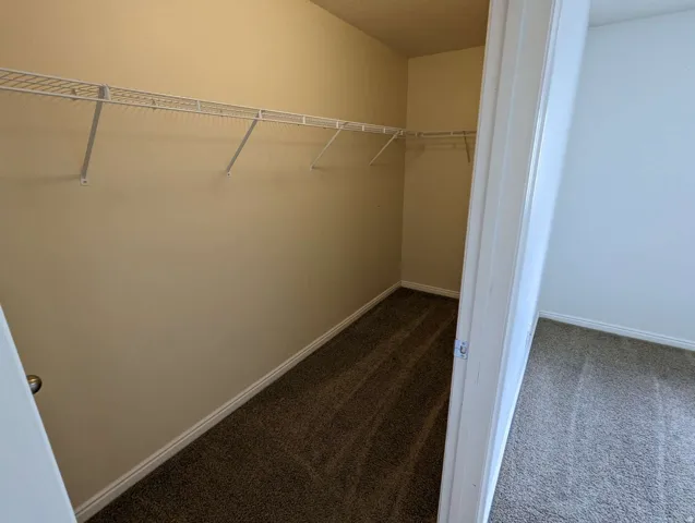 Wall-mounted wire shelving system and neutral carpeting