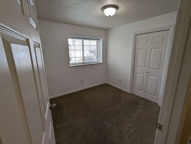 Wall-to-wall carpeting, window with horizontal blinds, built-in bi-fold closet, and ceiling-mounted light fixture