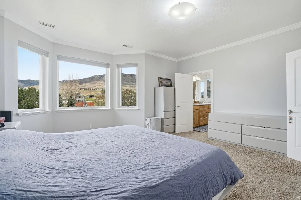 Wall-to-wall carpeting and crown molding