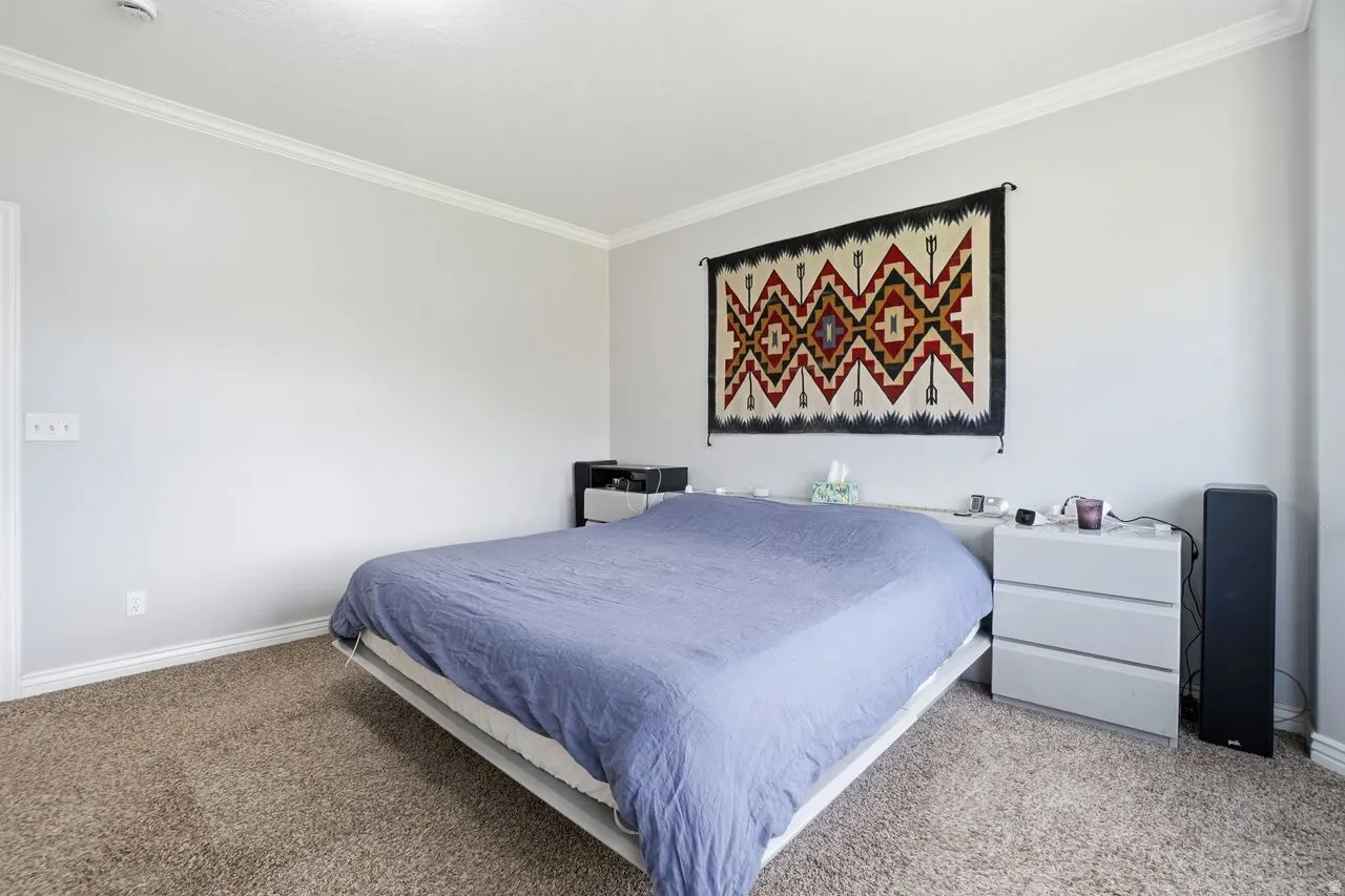 White crown molding, light gray walls, and carpet flooring