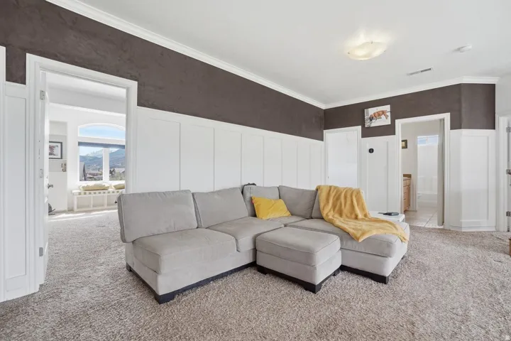 Plush carpeting, crown molding, and wainscoting details
