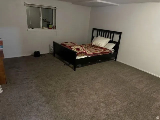 Huge downstairs bedroom