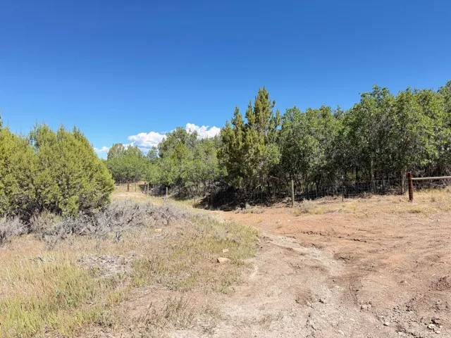 Expansive undeveloped land with natural vegetation and fencing