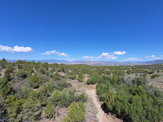 Expansive desert landscape featuring diverse vegetation and distant mountain ranges
