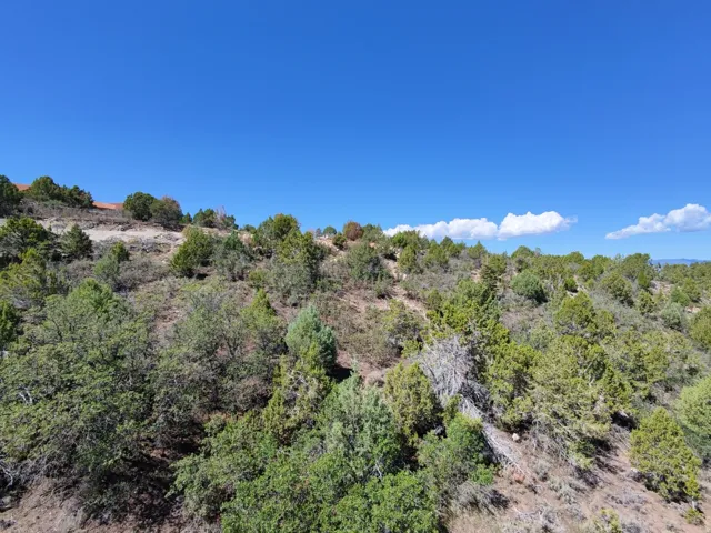 Expansive natural landscape featuring varied topography, mature trees, and natural vegetation