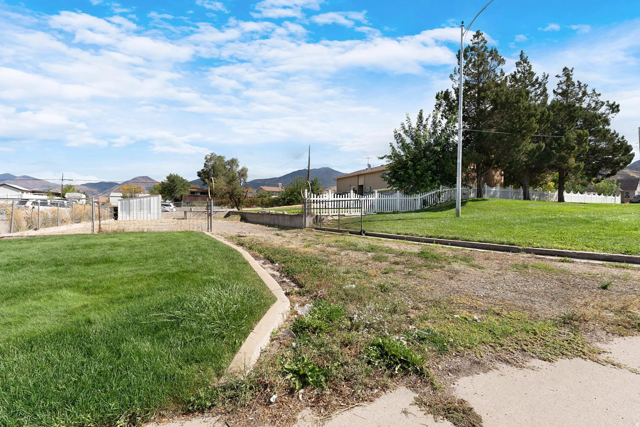 Manicured green lawn with a concrete curb, white picket fence, and mature trees