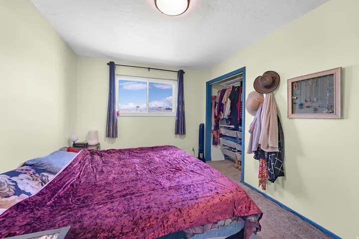 Recessed lighting with a built-in closet, wall-to-wall carpeting, and a window with a roller shade
