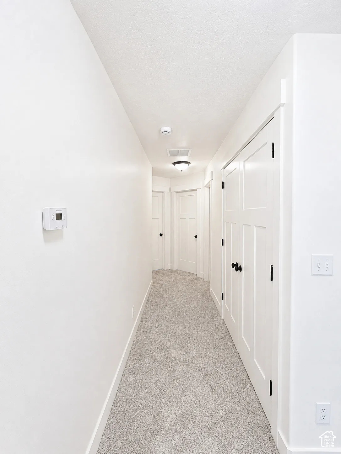 Hallway featuring light-toned carpeting, white interior doors with dark hardware, and a ceiling-mounted light fixture