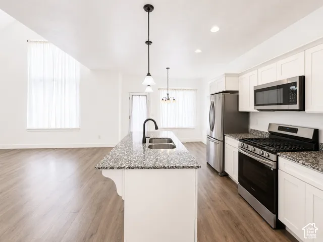 Kitchen with white cabinetry, stainless steel appliances, speckled countertops, and wood-finish flooring