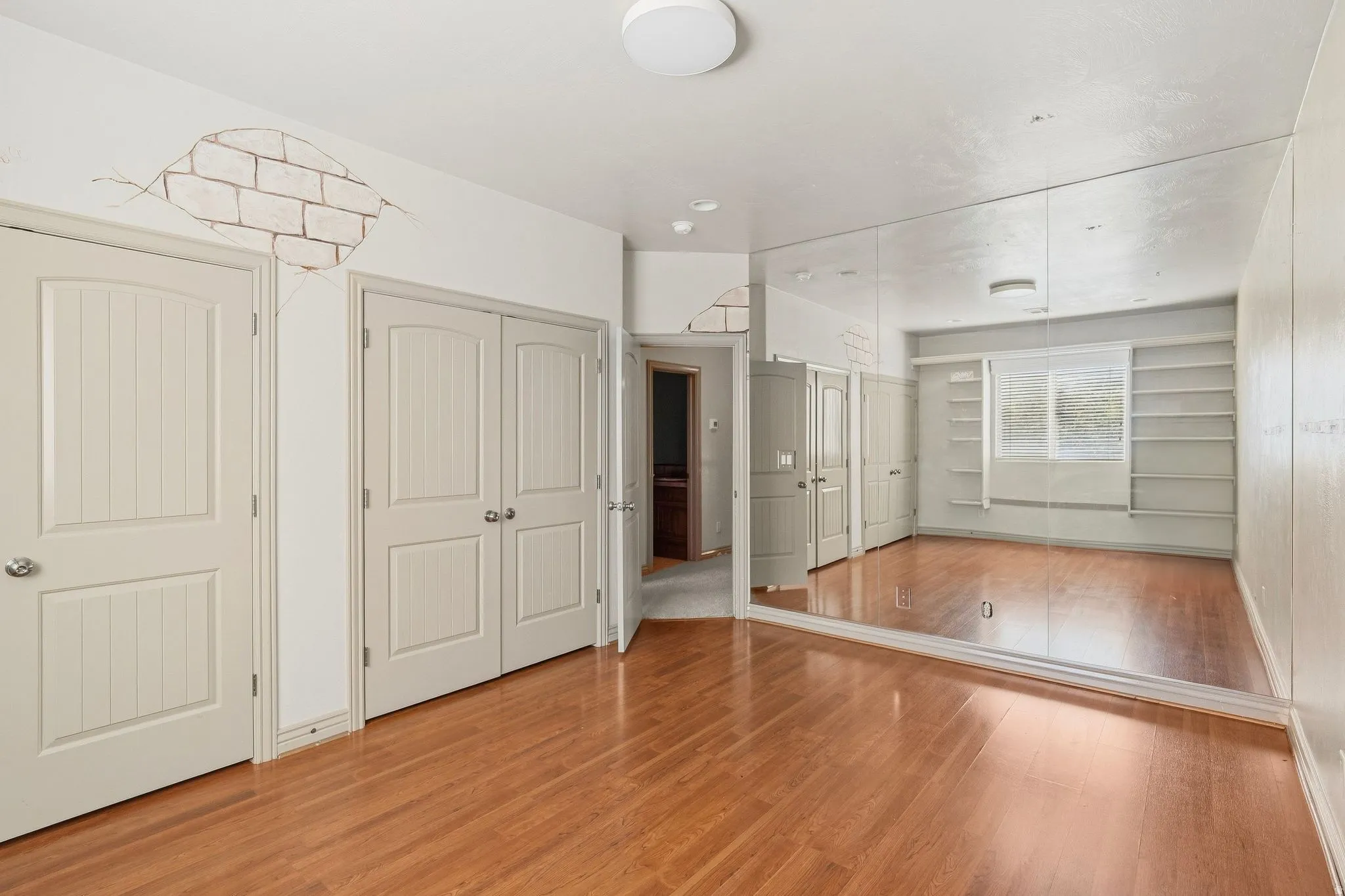 Wood-finish flooring throughout, full-wall mirror, built-in shelving, two paneled doors, and one single-panel door