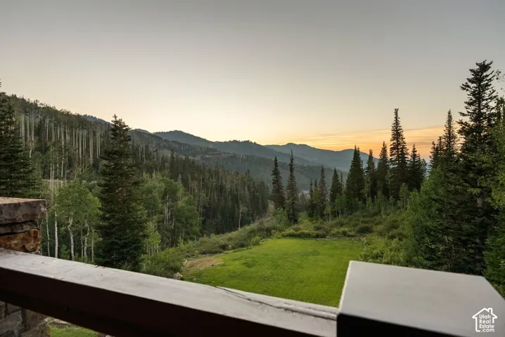 Expansive mountain scenery with abundant evergreen and deciduous trees, featuring a flat grassy area