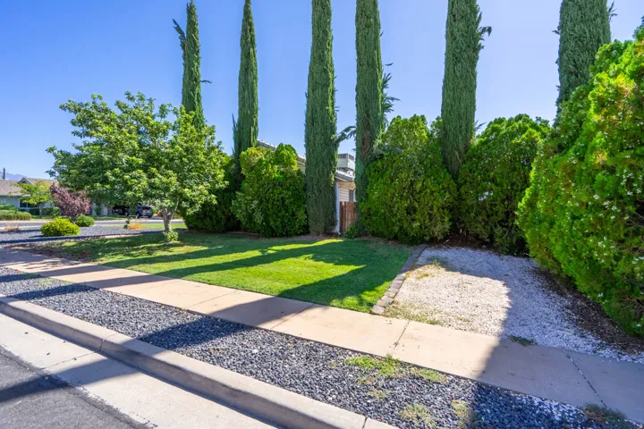 Mature Italian Cypress trees provide striking vertical accents throughout this expansive backyard landscape