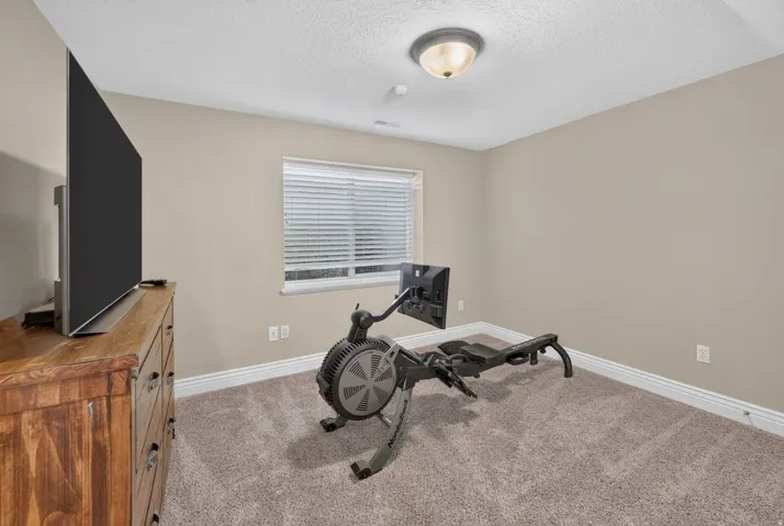 Carpeted room with a single window, overhead flush-mount lighting, and neutral wall tones