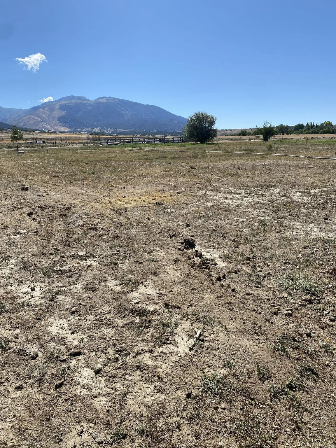 Expansive open lot with a stunning mountain backdrop looking toward the fenced bull pen.