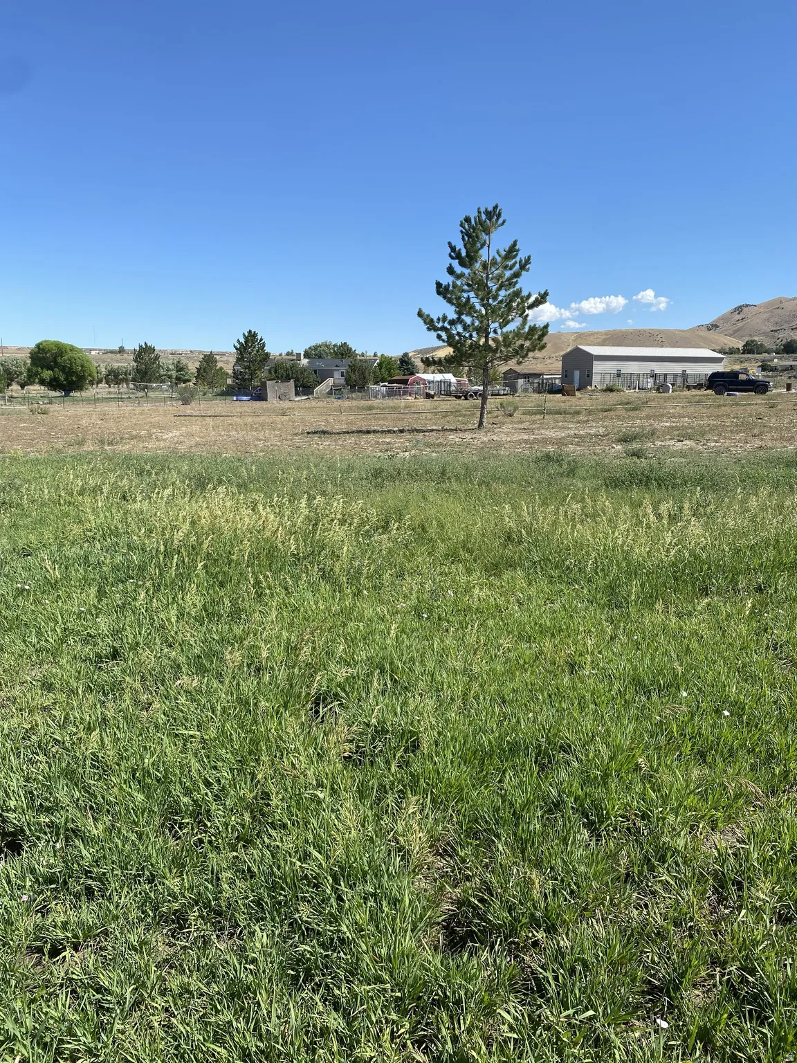 Back yard looking toward the barn and out buildings