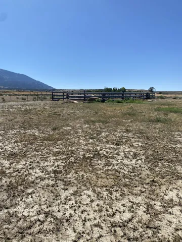Bull pen