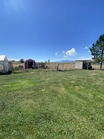 Back yard looking toward the animal pen.