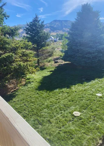 Looking out the front door. Expansive backyard with a manicured lawn, established evergreens, and distant mountain scenery