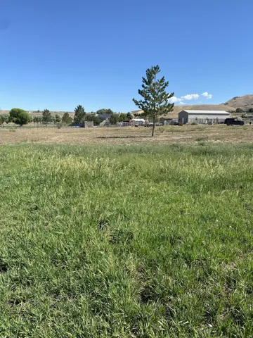 Back yard looking toward the barn and out buildings