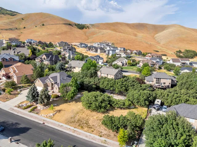 Residential neighborhood featuring mature trees and a paved street