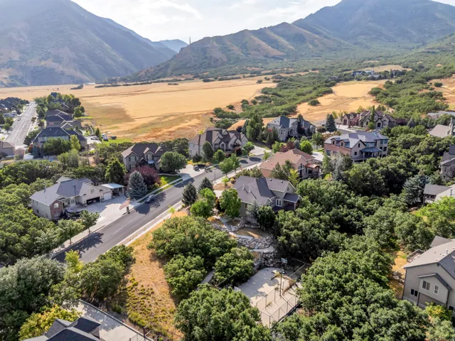 Residential properties nestled among abundant mature trees, with a paved road