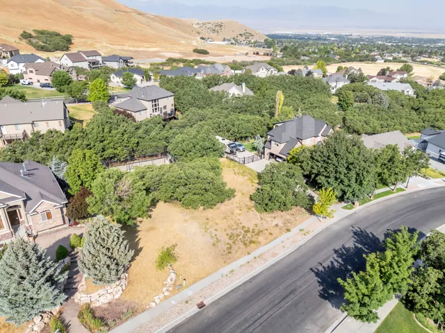 Sloping lot featuring established trees, direct paved road access, and surrounding residential structures