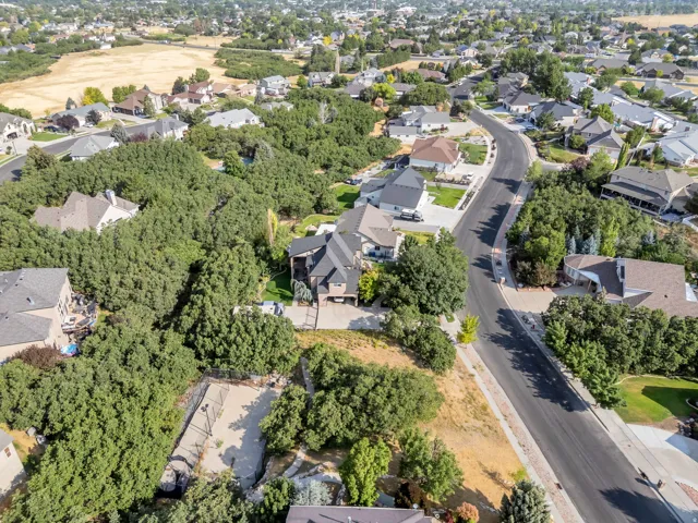 Residential neighborhood with mature trees, paved streets, and varied architectural styles