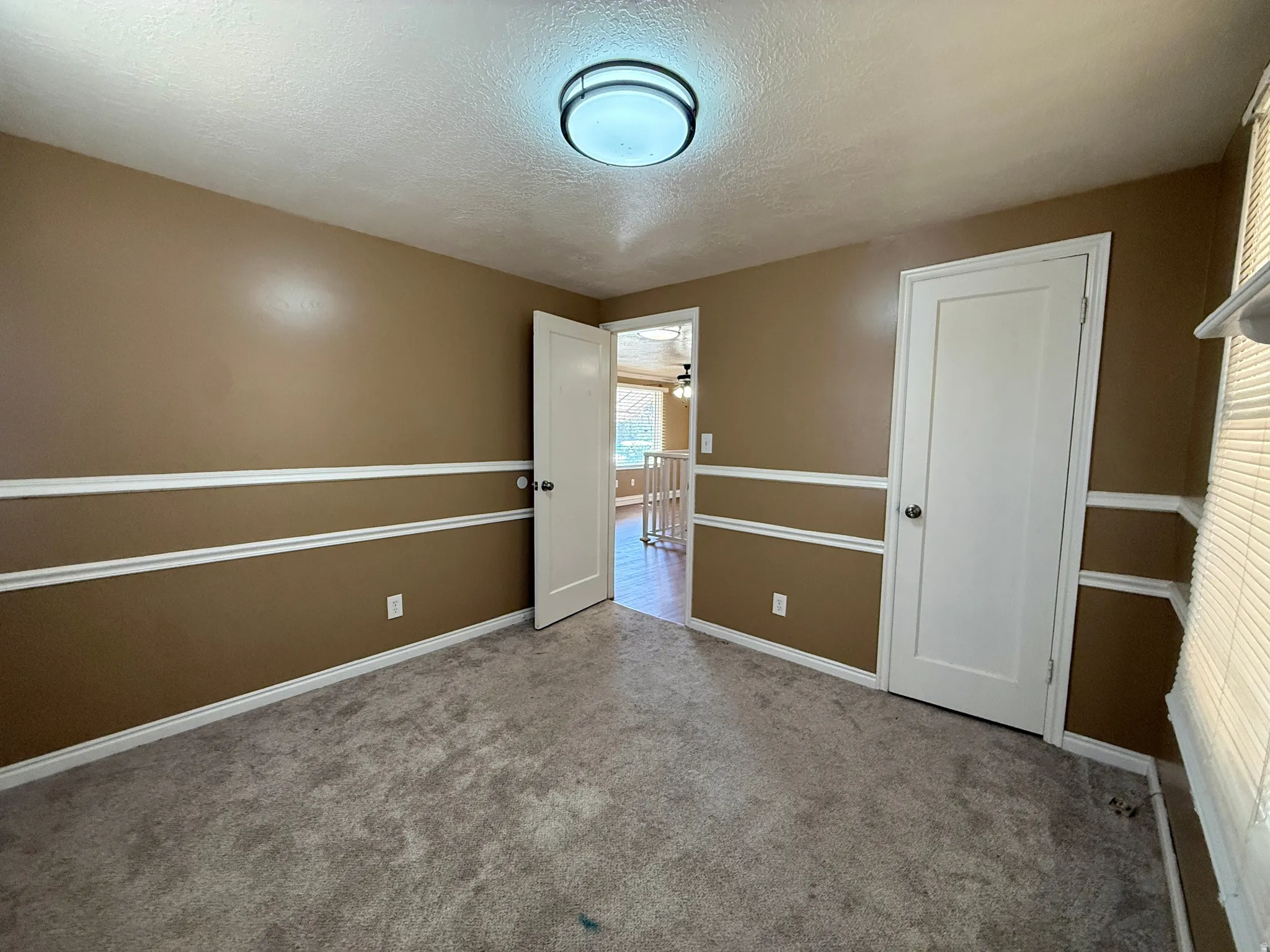 Textured carpet flooring, walls featuring wainscoting and crown molding, and a flush mount ceiling light fixture